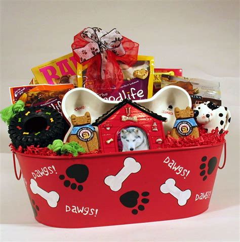 pet birthday gift ideas